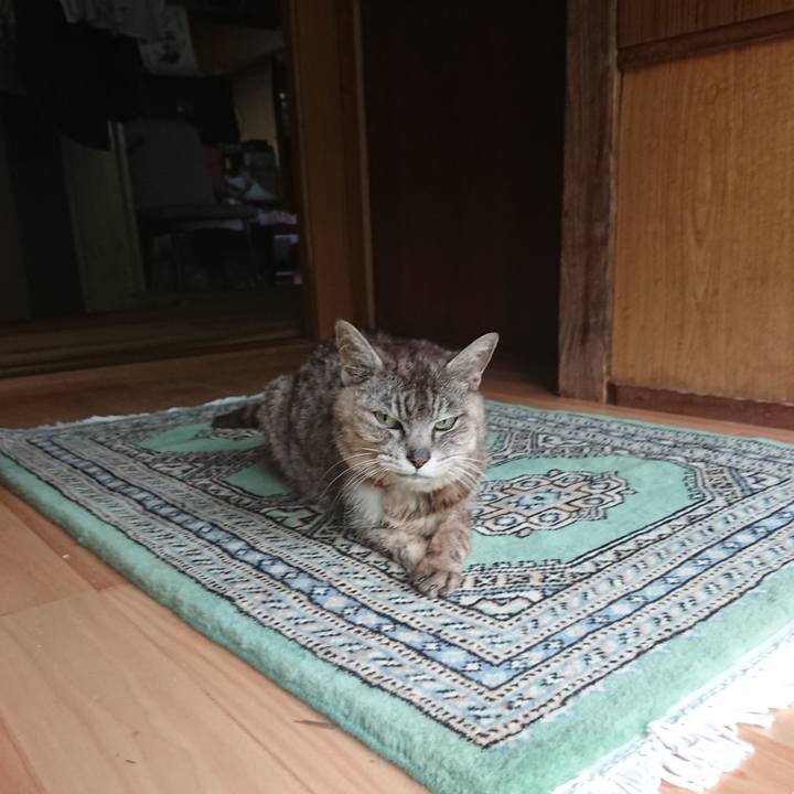 5ddf3d2d d291 4f6c 854d 26959742ae2c 1596942954151