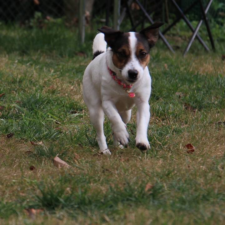 5ddf4913 8d51 4f81 99f1 739d483ff018 1512217094561