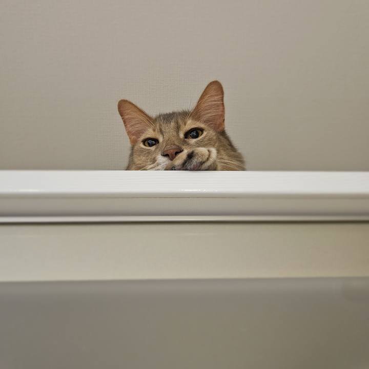 5ddf4d93 f9dd 4a5d 856a 128e2e4a23ab 1757745026900