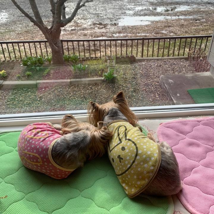 5ddf53fc a156 4c03 97ad 4eebf948550e 1620552903643