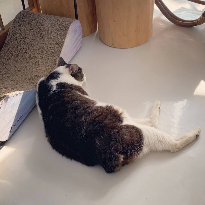 5ddf5413 6894 4b50 a513 e6b8e09da2c4 1596757349373