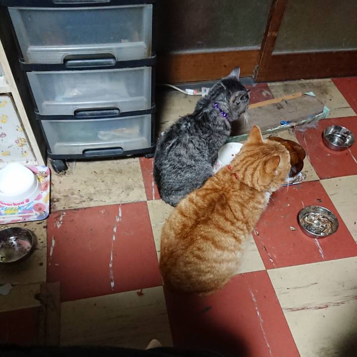 5ddf71f5 4360 4d5b 9b53 7f0e8731905f 1579117998403