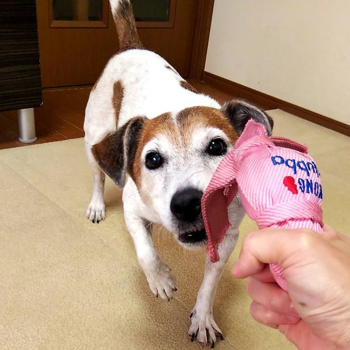 5ddf91a3 6aa1 4a42 baec 77d7f7c41024 1534575719663