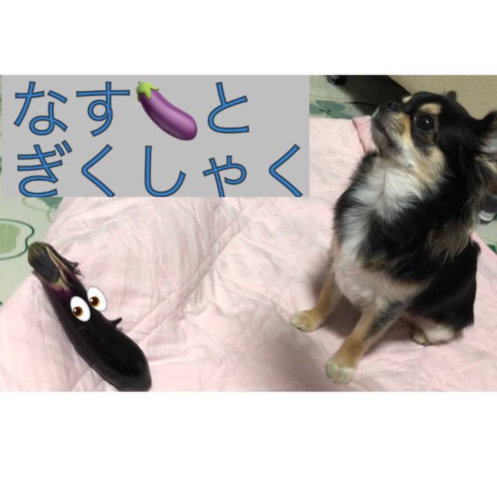 5ddfb458 02cd 4e63 864a b909dc3a1c95 1567853802431