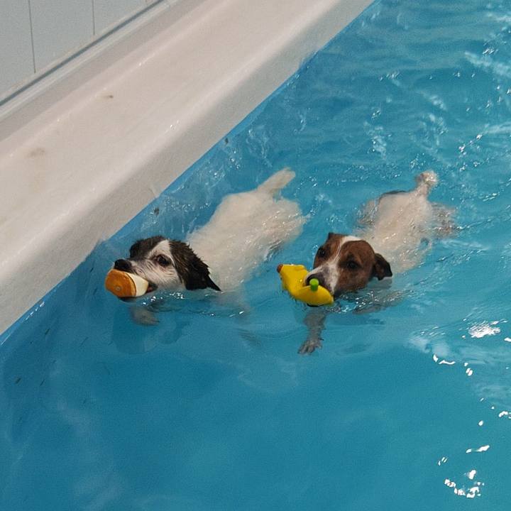 5ddfcbb3 4fff 4c0e a770 ecb40d779771 1746508587144