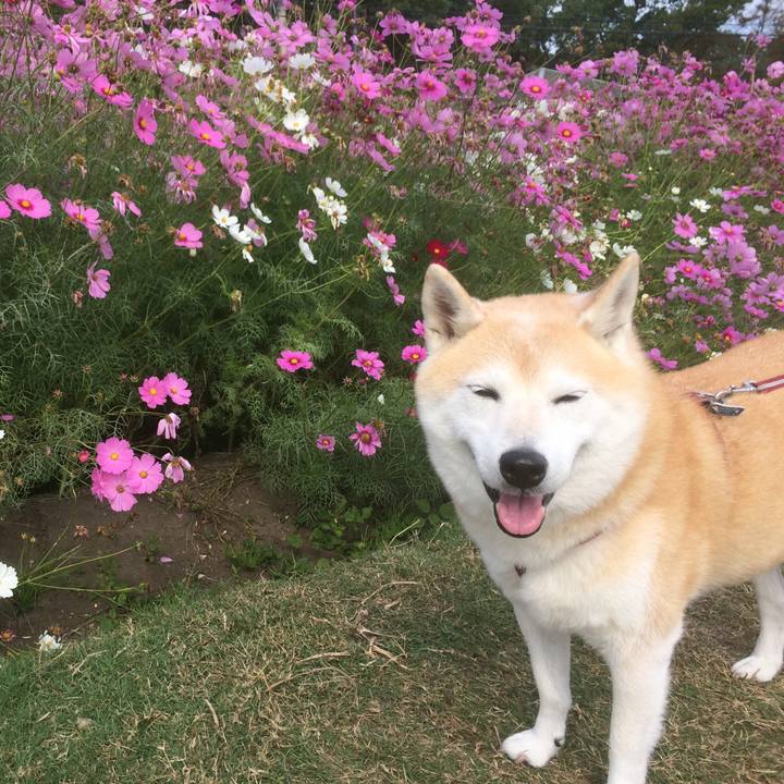 5de003a7 4007 4f86 8c41 7f770392b2a8 1573396369933