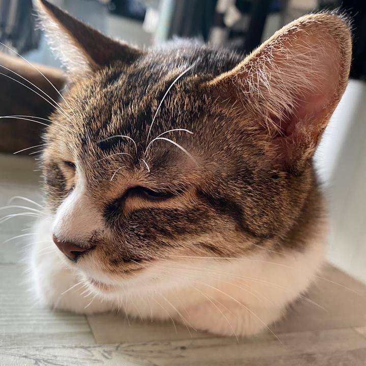 5de01e2d 87c9 4fbc 9f3a 489f7d2b0aa1 1595637695138