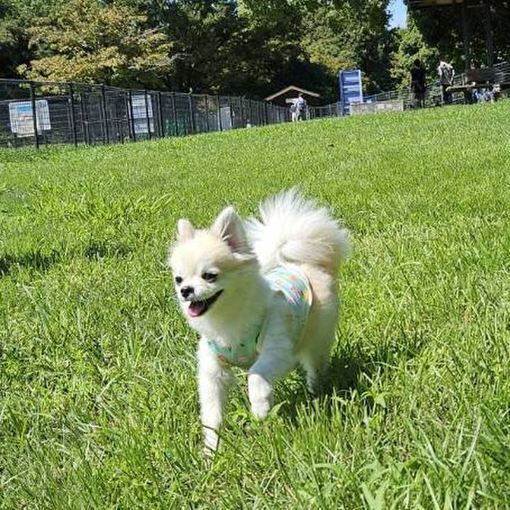 5de03e10 a162 4dc7 88fd c6eb8cdb892c 1758635602502