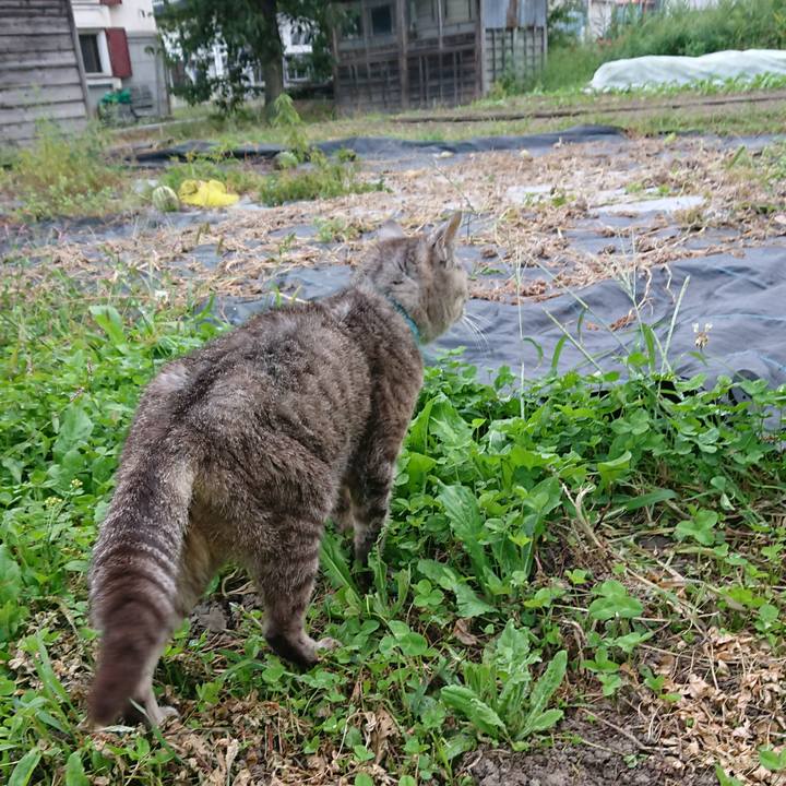 5de047e4 41a8 4c13 8b8d ee5af82130f3 1569053600780