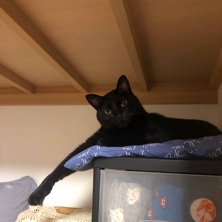 5de07756 18ac 4804 b4e1 eb3fdd3d17aa 1579040616765