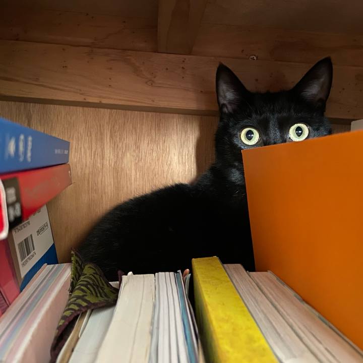 5de0d9f7 26ba 4a5f 8a2c f45acd332218 1651921531981