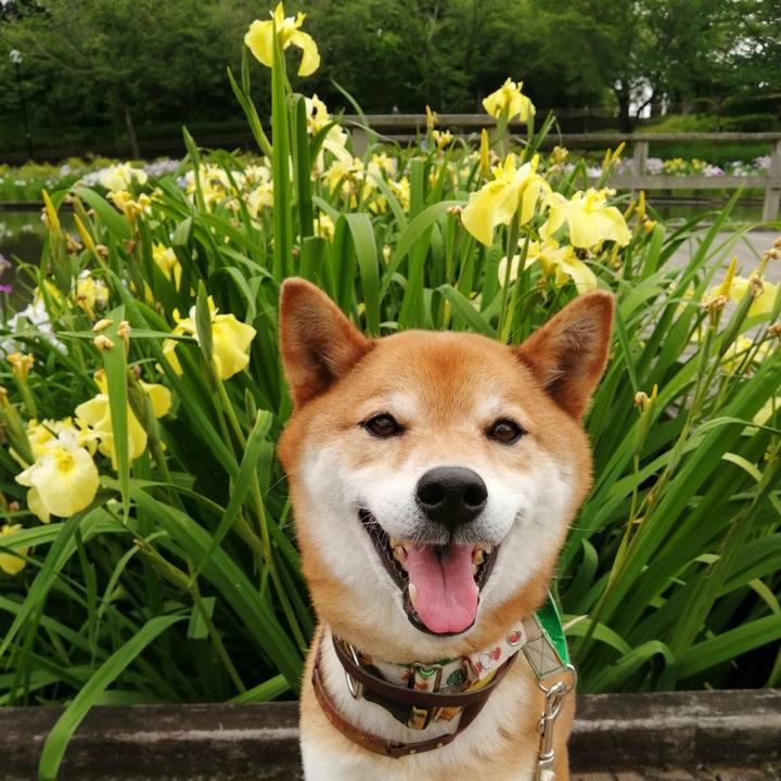 5de0e594 7871 448c 9a2a cadb69a42dd7 1622596022744