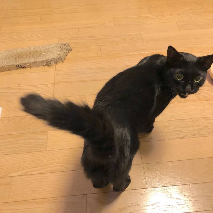 5de0e68e e707 4418 85bd 305c35da7598 1567778499312