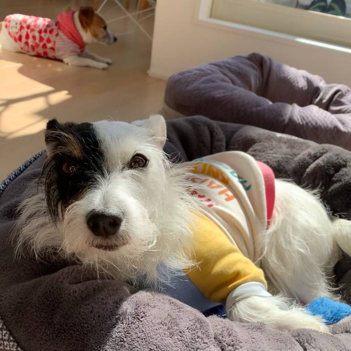 5de11140 f1d6 4163 8f4e 86b1b9307258 1635908059680