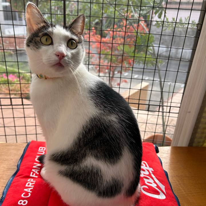 5de17918 af96 446b ab94 2d4e9fe5e372 1762321483611