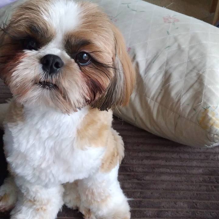 5de19aab 0062 46b0 b688 356b3cc20960 1588587678764