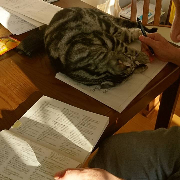 5de1adc0 485f 4163 bdd8 a3472ea8d564 1509961703803