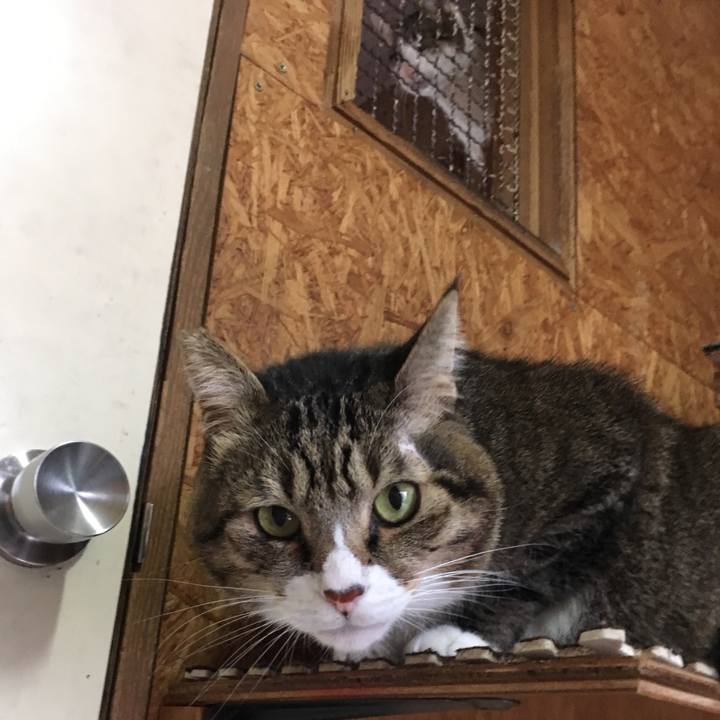 5de1e8b0 57b3 4d8b ba17 702f2a450fb9 1547549524004