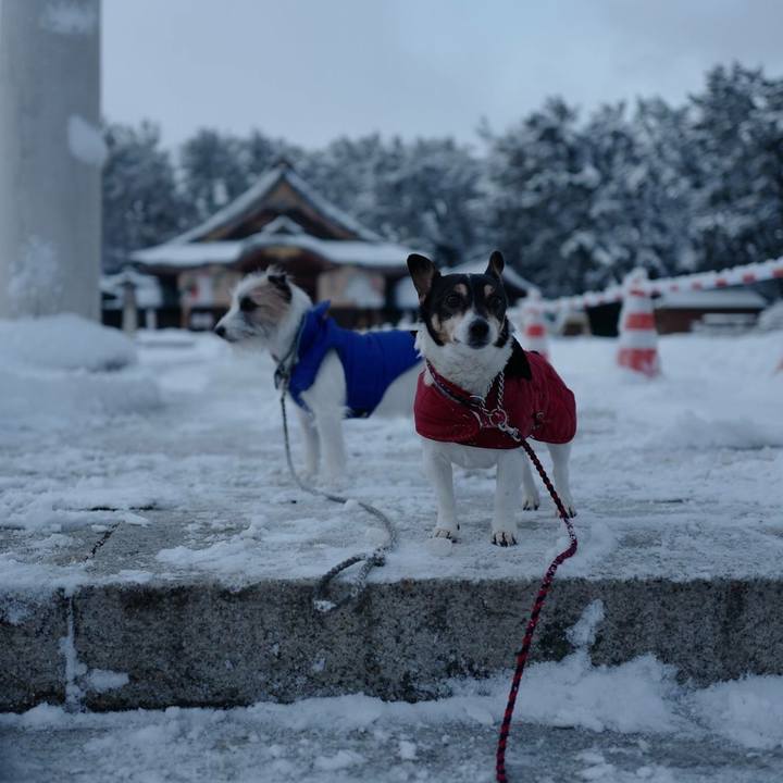 5de1ec83 6b37 4ca9 ac98 e626cee94377 1517372586465