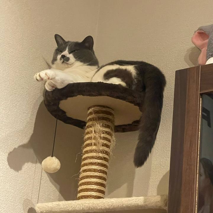 5de257a1 d597 4829 961e 803d037cb69b 1716896689565