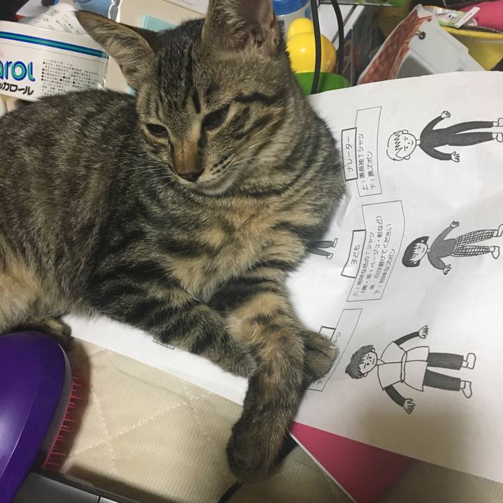 5de2988e 8dc5 4b4f a000 2f12b4e4c8ec 1538285932531