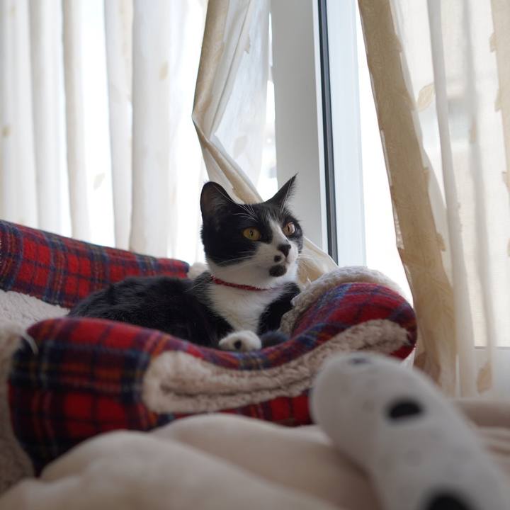 5de2ba0b 08ee 4812 83dd bd8bdf6dcd31 1612671239965