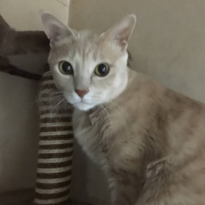 5de2db3f c429 4dc9 b424 ad7be71e8d85 1512683153498