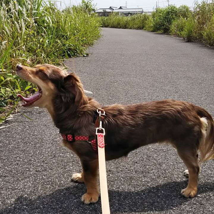 5de2e90c 2ec2 4a1a 9199 76990c3b53cf 1527295934953