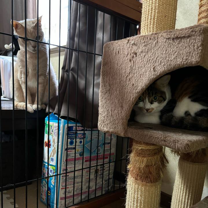 5de2f448 e253 494d 9f38 c8191c288c3f 1727045390651