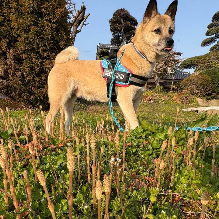 5de309e1 e7ca 4090 b216 19643c9597a2 1742731326460