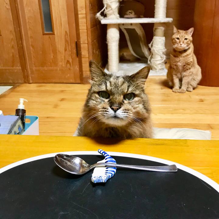 5de32665 abfa 4db7 bada 2b41380467f9 1513338407466