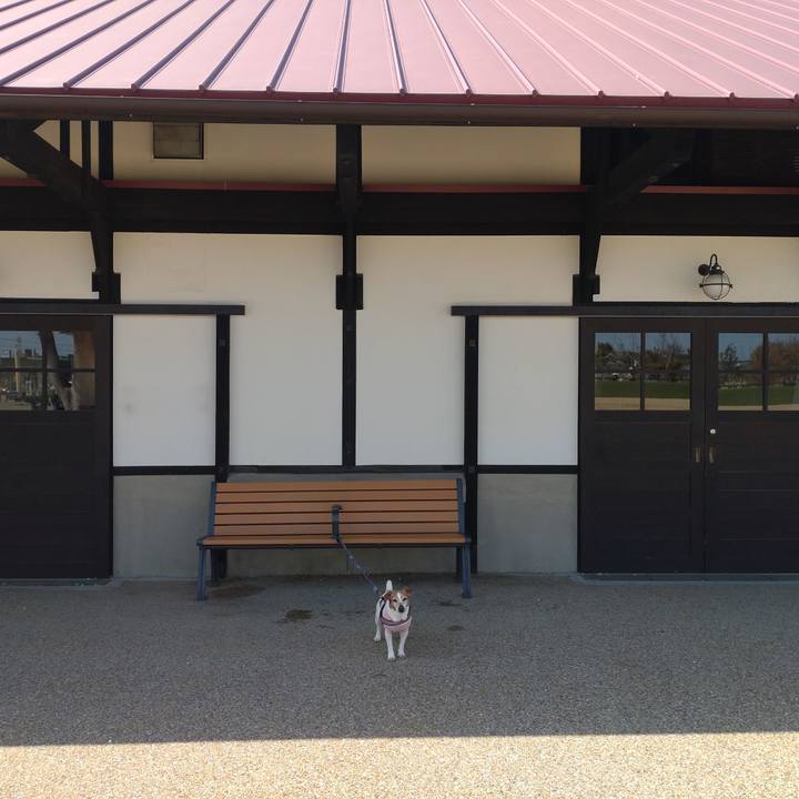 5de33b28 f947 43ca 994e 371949f72dc8 1772344931747