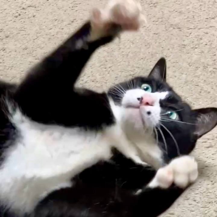 5de33ec6 136f 4ca5 9277 c1be90aebd87 1739585557254