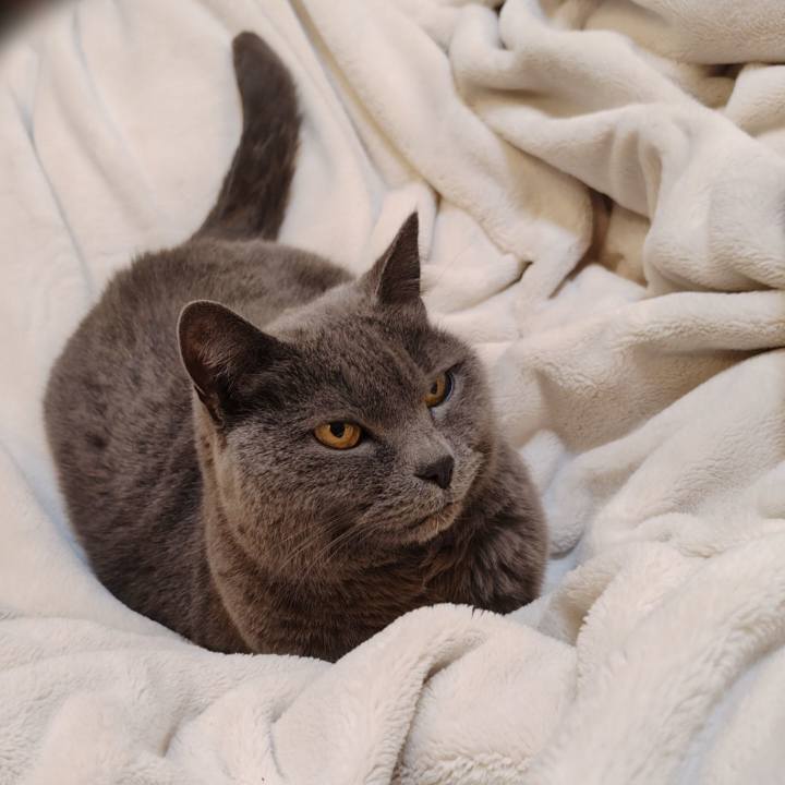 5de36216 c5db 4ace bc5e 3fa0f97f442a 1774360052874