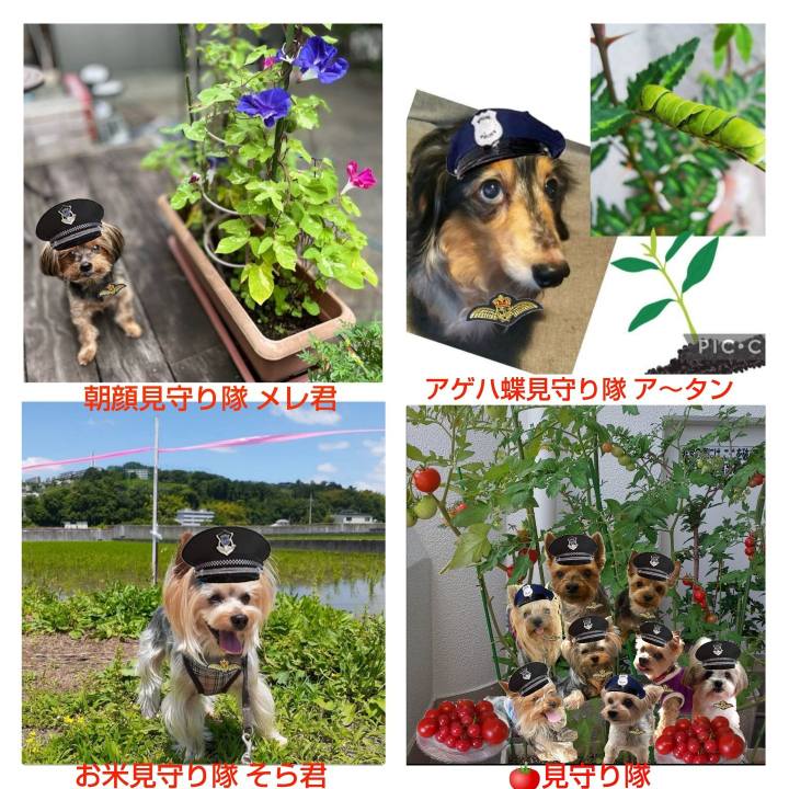 5de42101 da0b 4865 9167 c37d45d18d2e 1658916079245