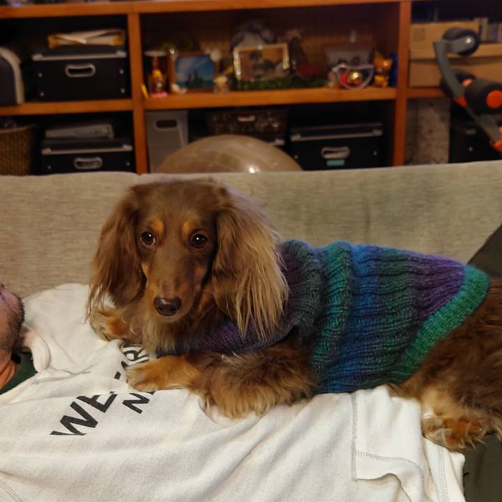 5de4256f ca93 4f86 a2e3 758d1e164a52 1610779011485