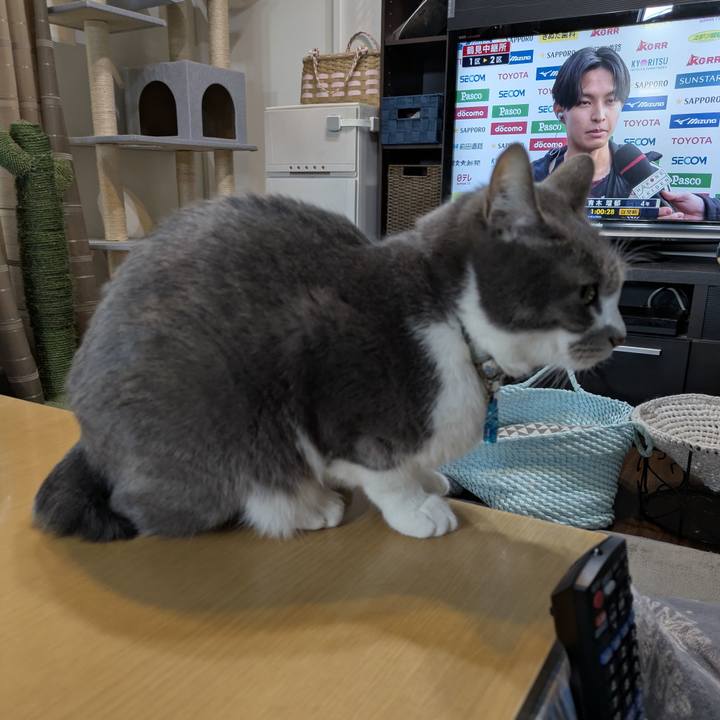 5de4616a b05d 44b0 b3ed 3768184932bc 1767314714828