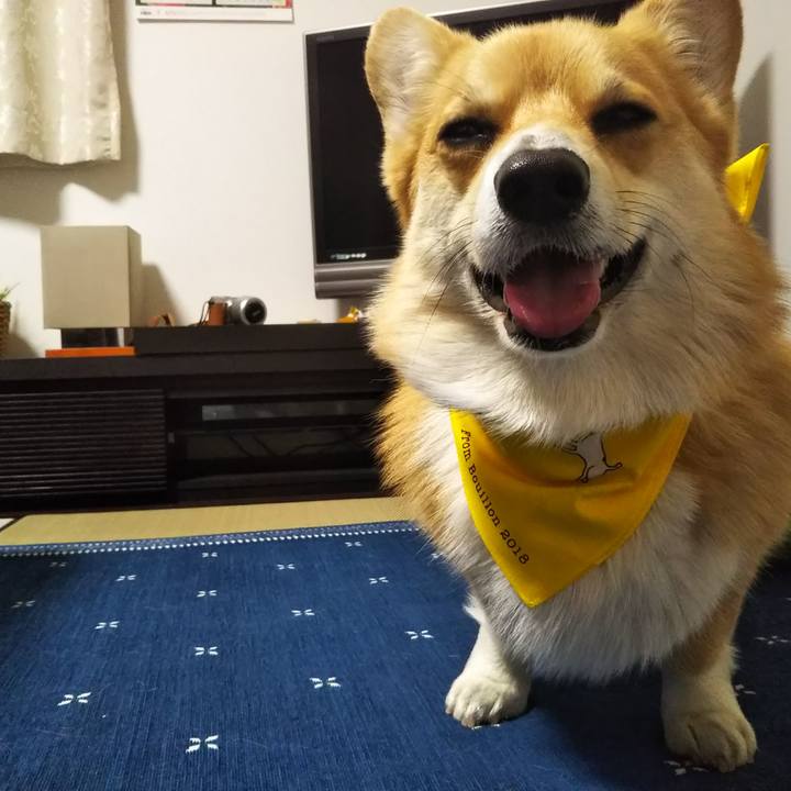 5de47e0c 912d 41db 8688 6c0e040eeffe 1527244309966