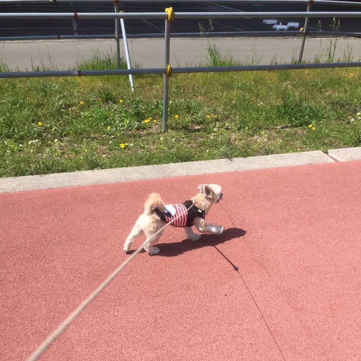 5de4b0c4 461b 4e72 8c28 209037688b10 1554548178202