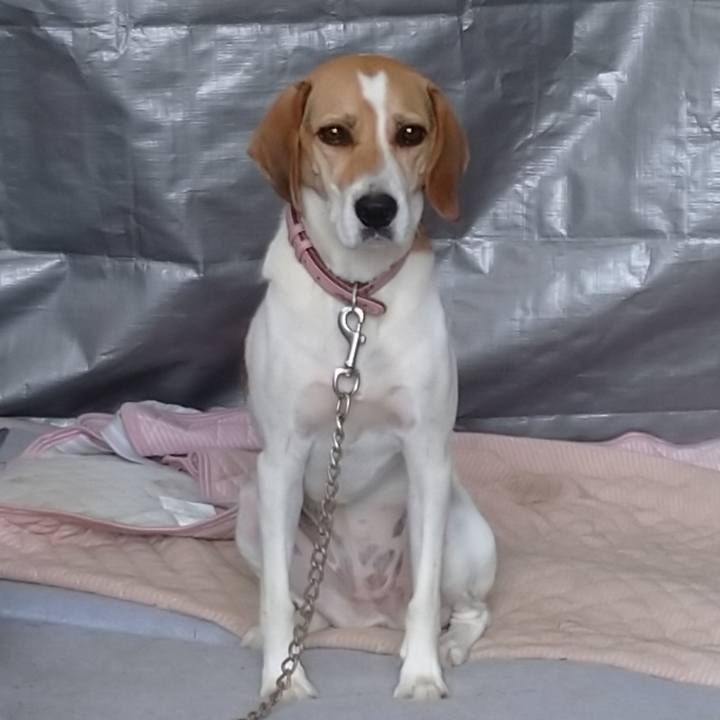 5de4d241 3c91 4d17 95a1 38afc2d8df0d 1599795853319