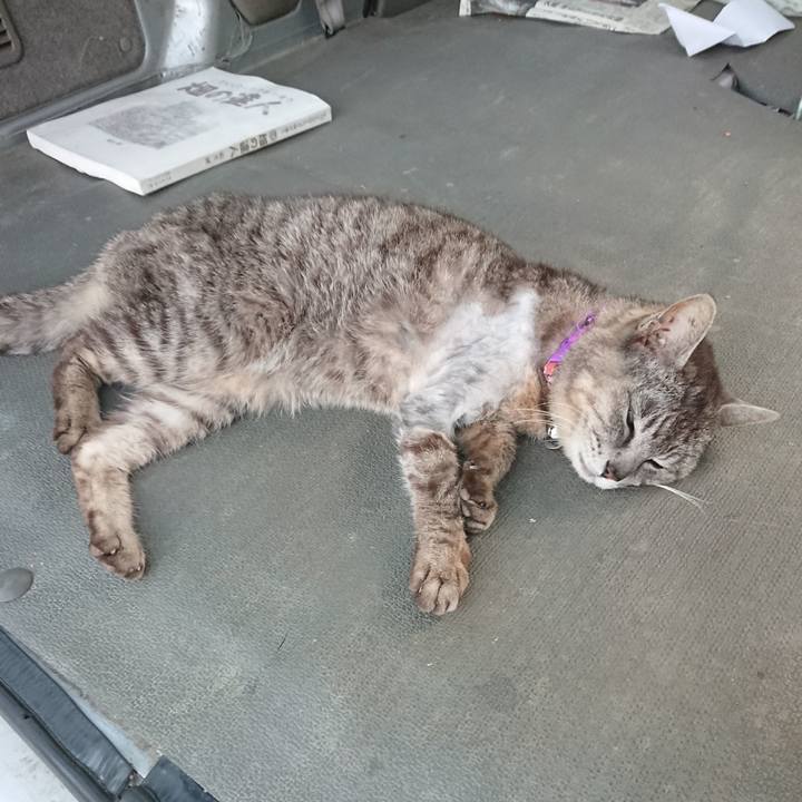 5de4f9ca 49da 4229 be6f e37f242e9889 1591695485870