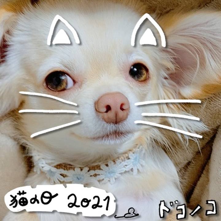 5de4facc 7987 45cd 8cac 5d3ada39a3e5 1613981084031