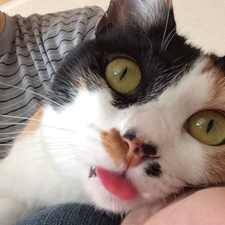 5de4fd0d acbd 422c b7b6 ce3597c2fe10 1522293530558