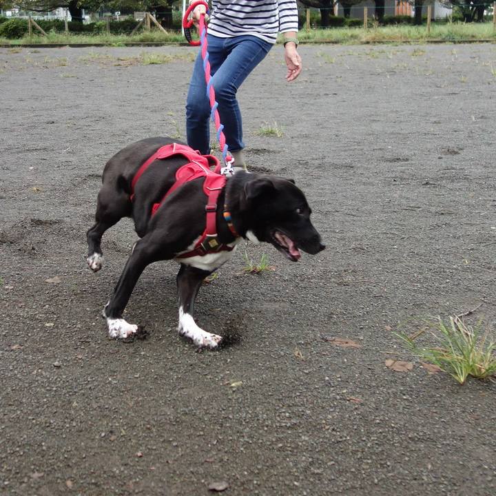 5de4fedc 1cb5 46c5 a733 281ebf623368 1601164986129