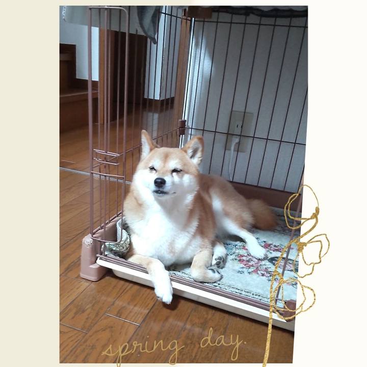 5de51675 ddb2 44d0 a9c1 c0cfd4518d21 1747127470296