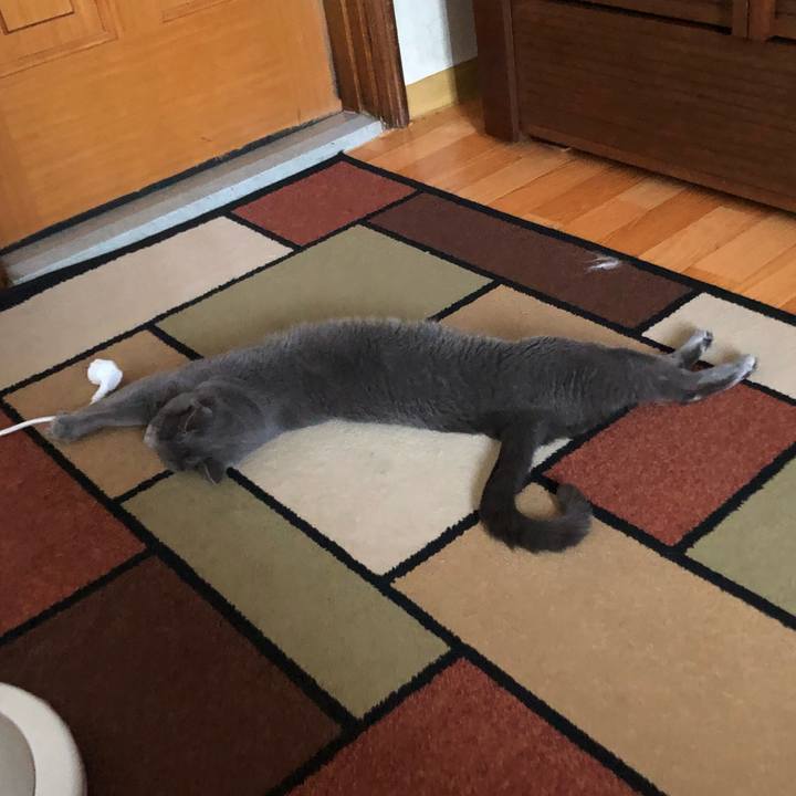 5de520b2 96c6 40ca 9960 fc8956e23ba4 1598573498714