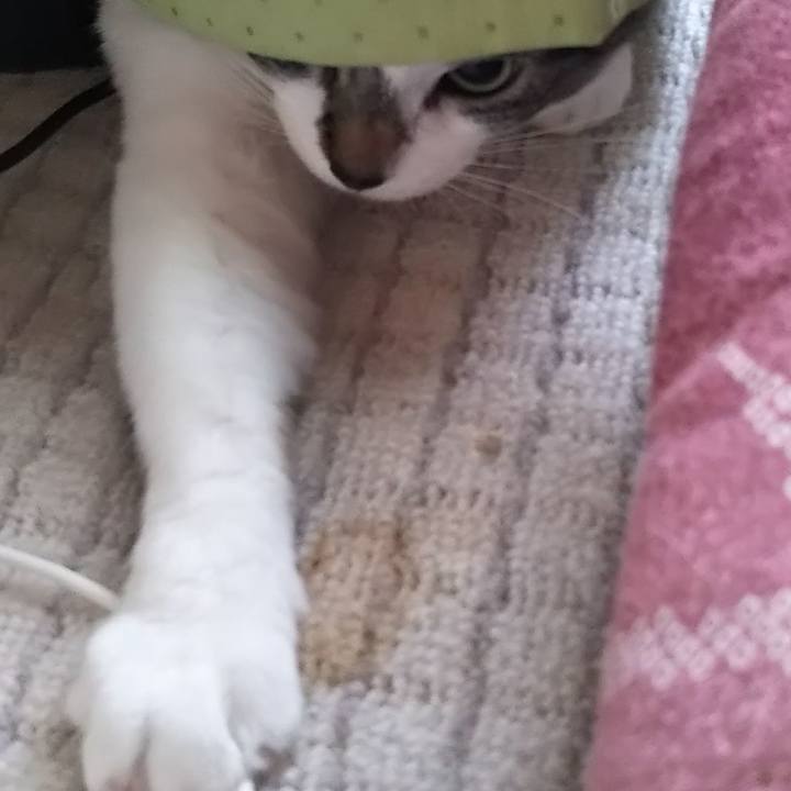 5de535ad f596 4170 b1b0 0a53b4b5b03a 1621643581925