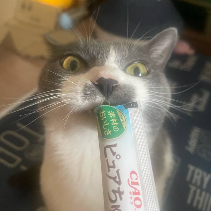 5de54d43 91af 4425 833b 251c80f7af3b 1715841020768