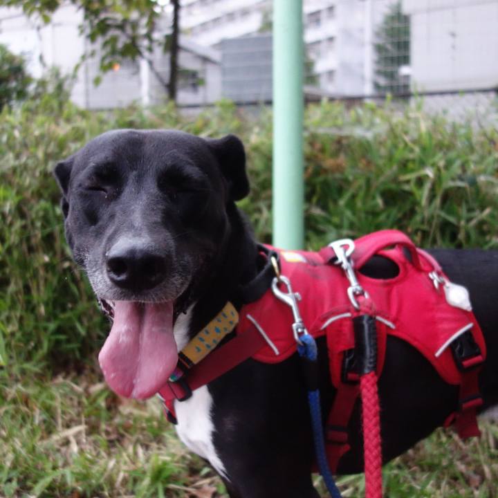 5de5b01f 693a 4f12 b8e4 b27029d6e089 1624790036298