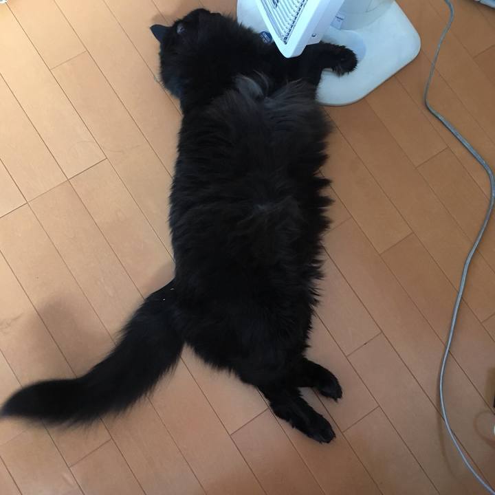 5de5d6e9 fc4a 441f a5ad 7c4a7eb9a23e 1549772733873